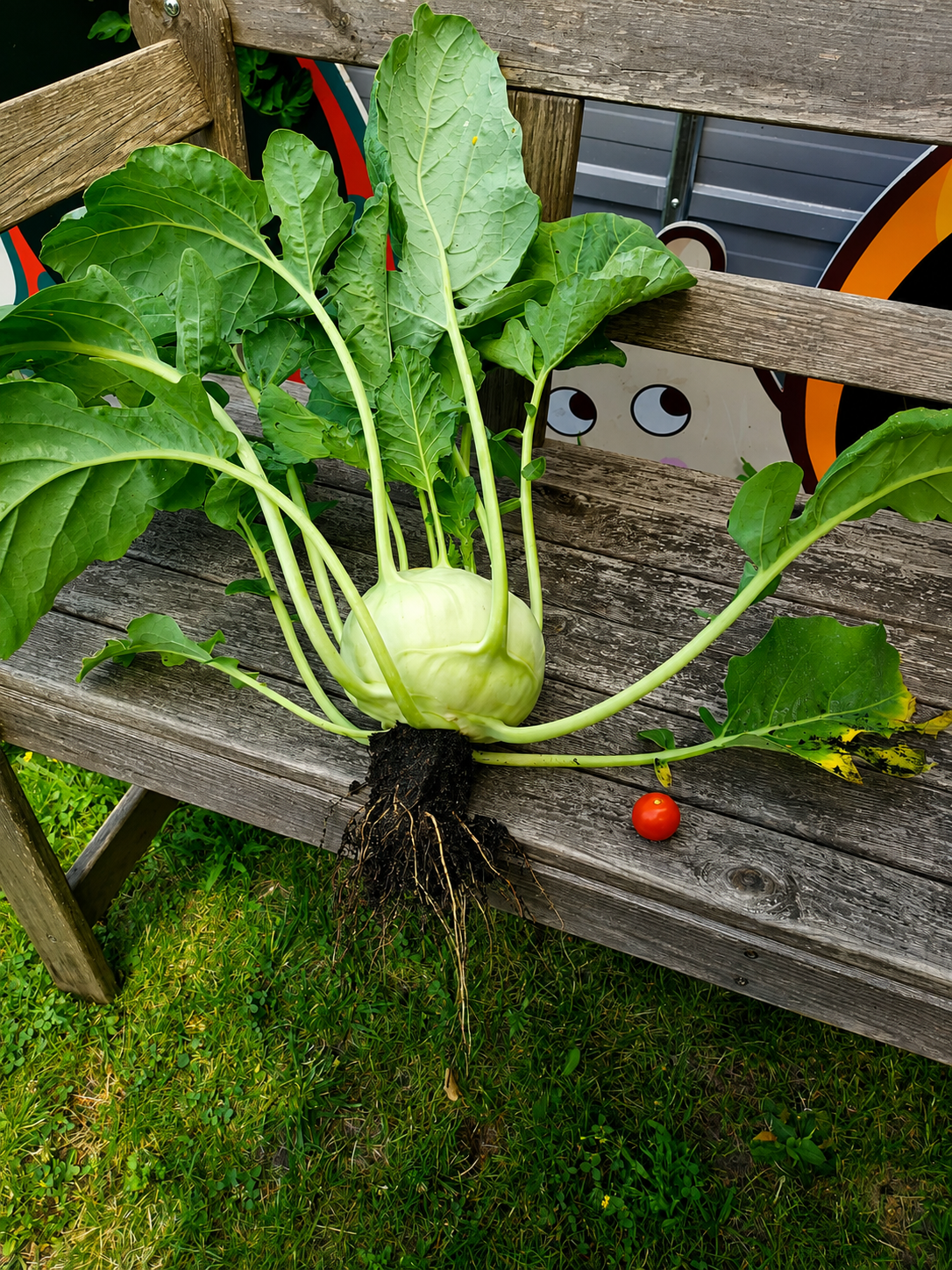Unser Garten