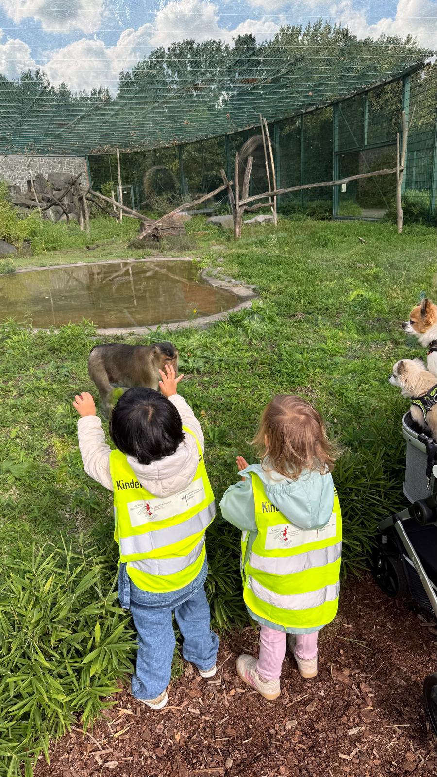Unser Ausflug in den Tierpark Berlin