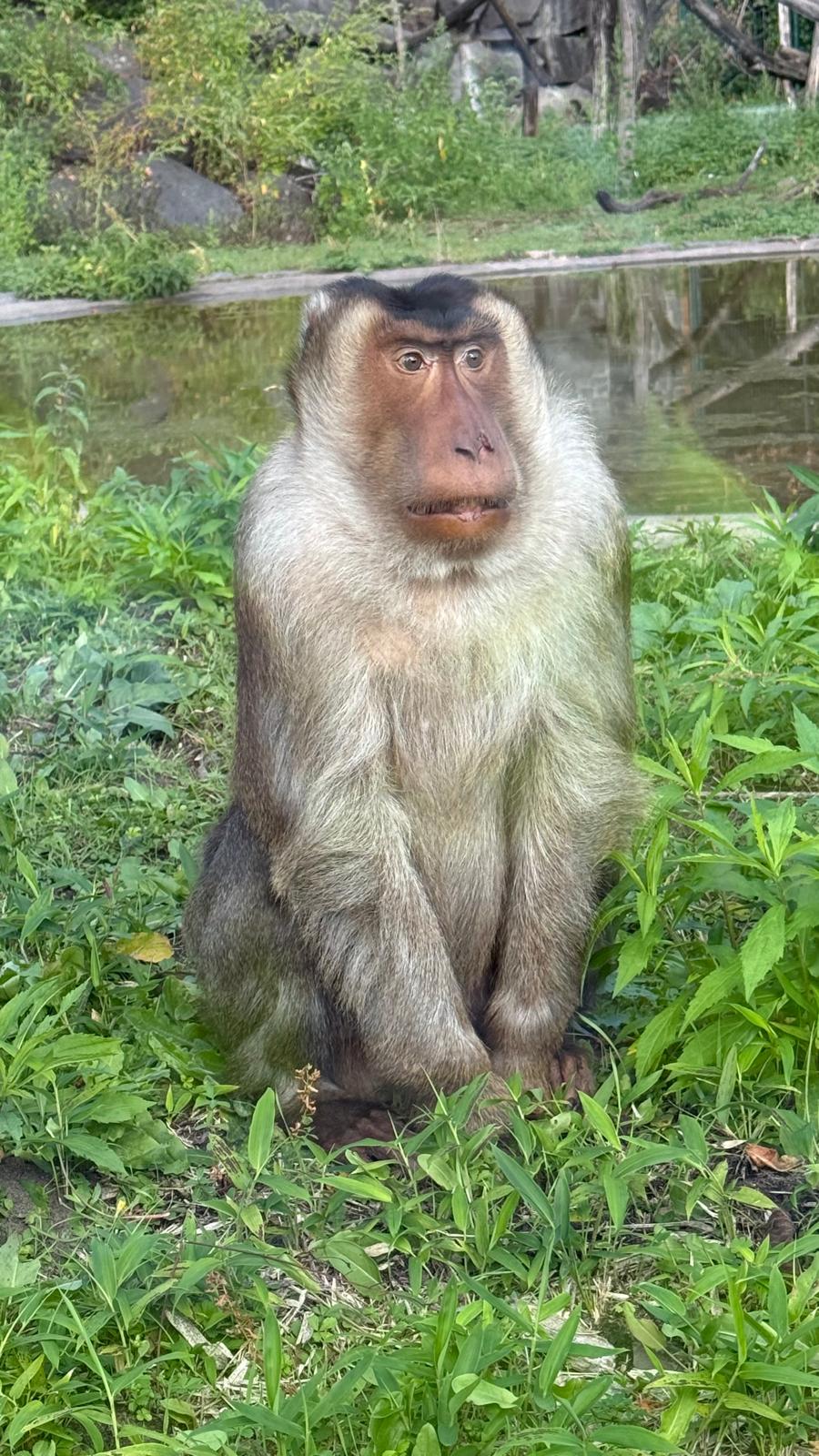 Unser Ausflug in den Tierpark Berlin