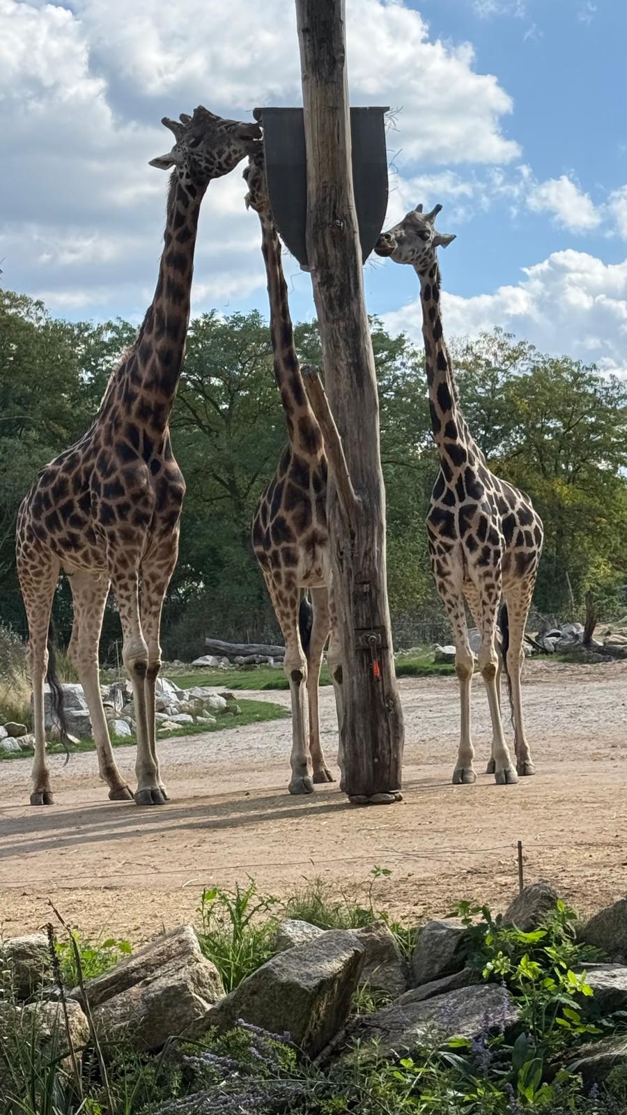Unser Ausflug in den Tierpark Berlin