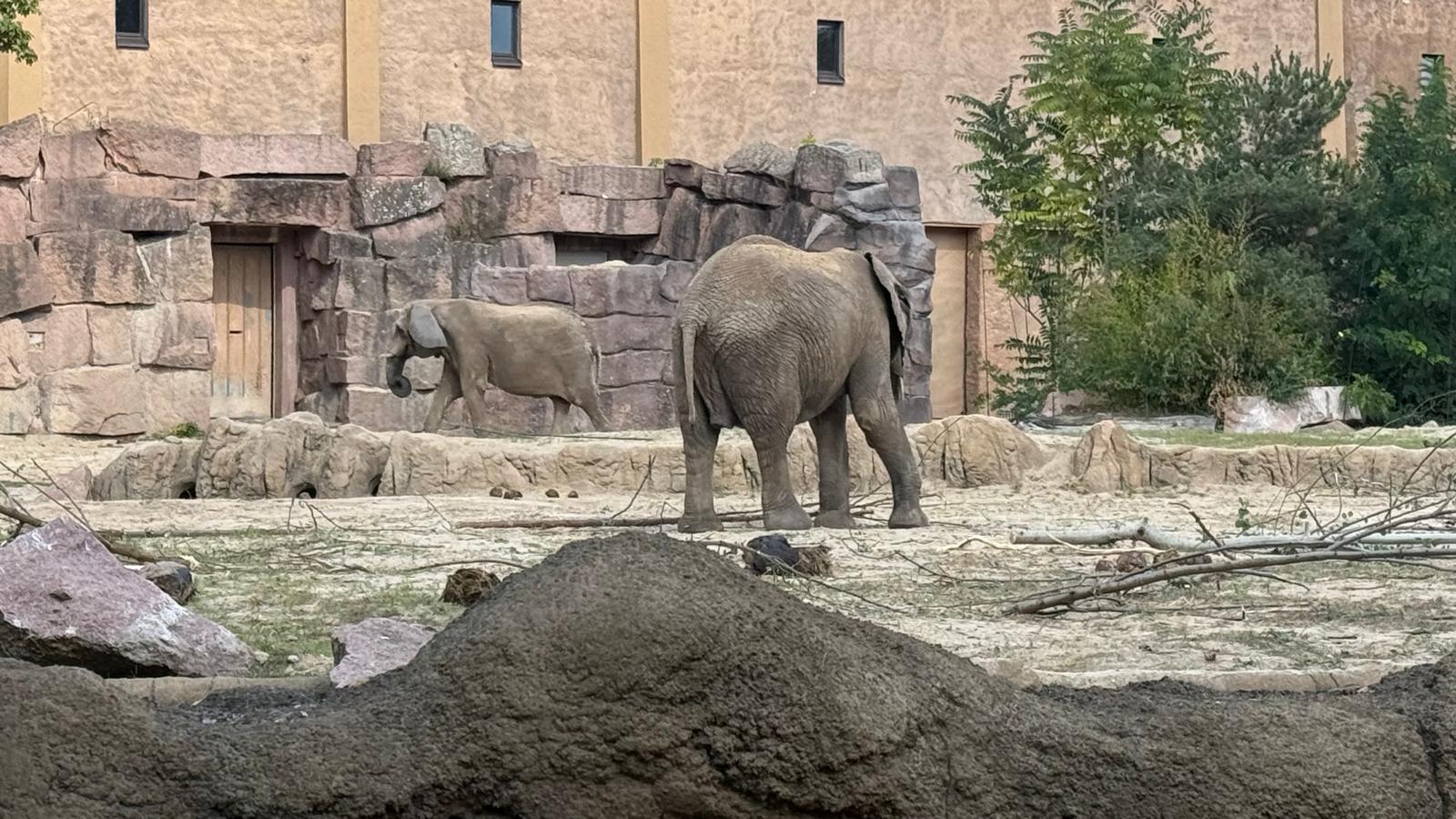 Unser Ausflug in den Tierpark Berlin